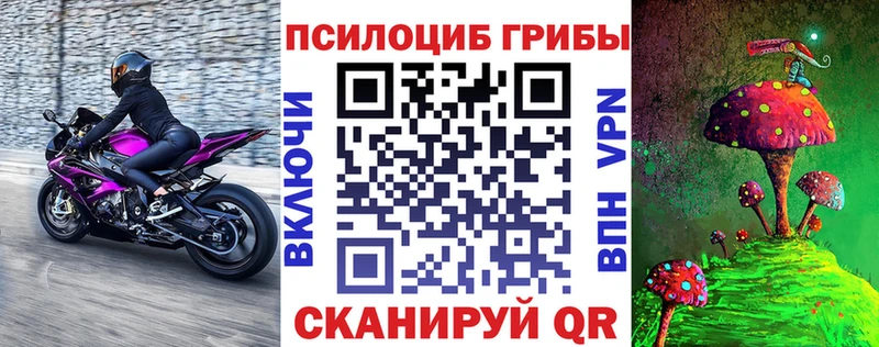 сайты даркнета официальный сайт  наркотики  Новотроицк  Галлюциногенные грибы GOLDEN TEACHER 